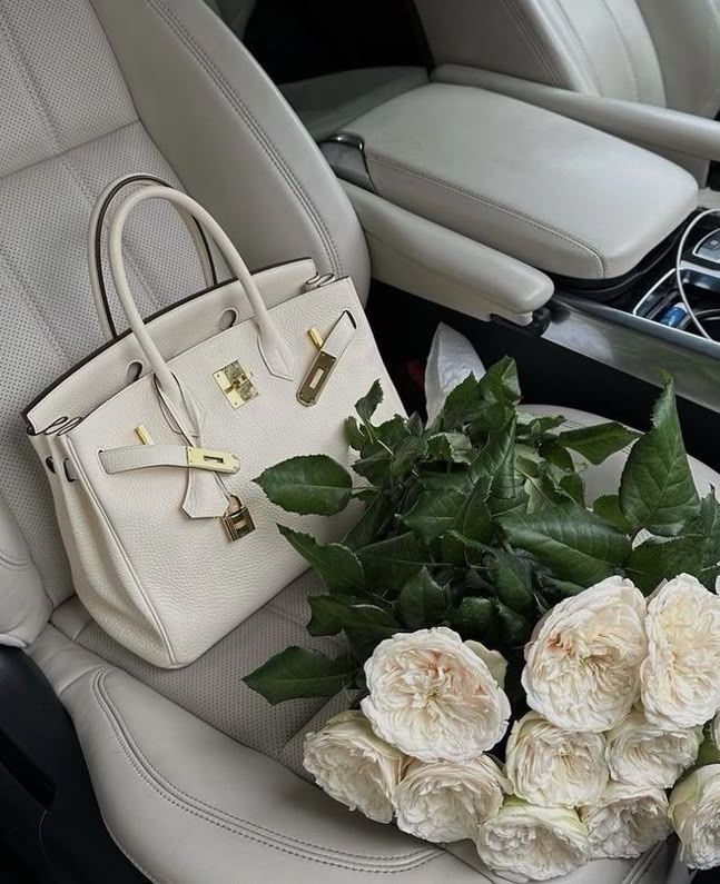 birkin mom car